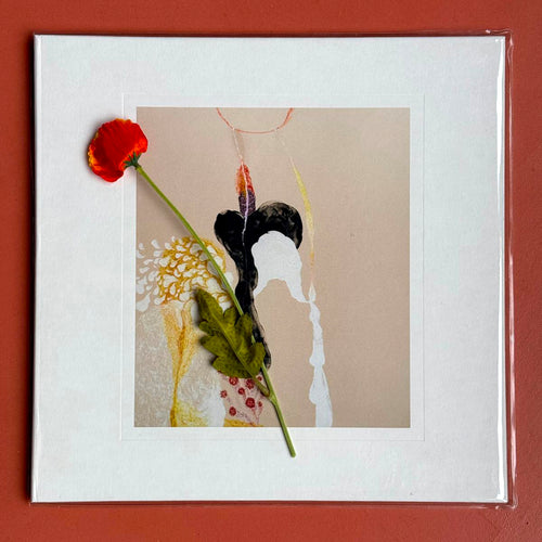 Vinyle collector - Unplugged