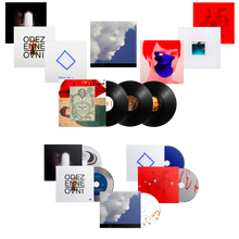 Charger l'image dans la galerie, DISCO 13 vinyles &amp; 5 CD - 6 albums et 2 ep en vinyle &amp; 5 albums en CD